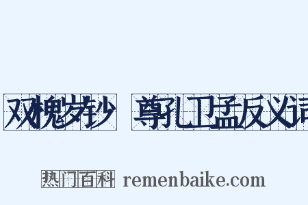 双槐岁钞·尊孔卫孟反义词是什么意思的图片
